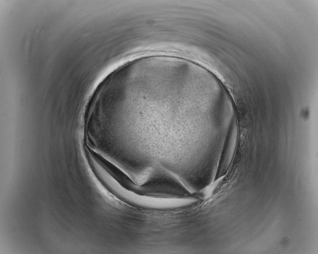 X0000098221523200805081146