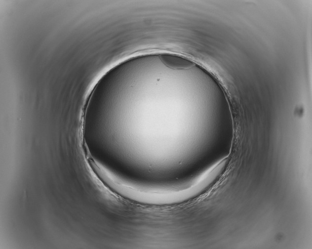 X0000098221524200805081146