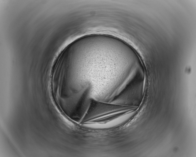 X0000098221525200805081146