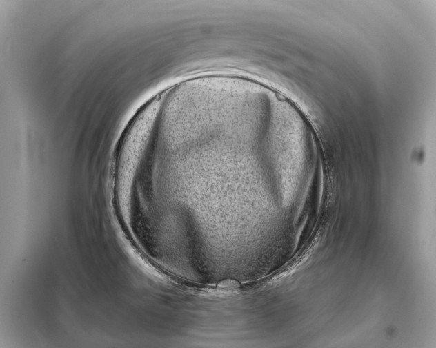 X0000098221526200805081146