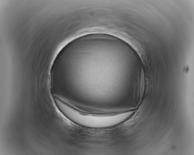 X0000098221527200805081146