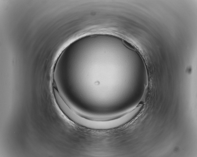 X0000098221528200805081146