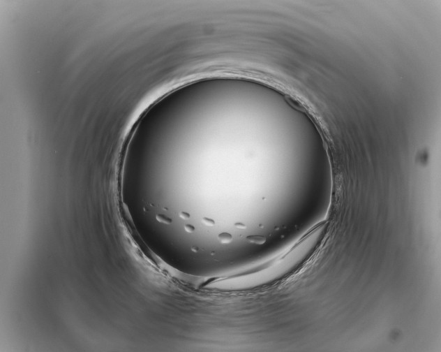 X0000098221530200805081146