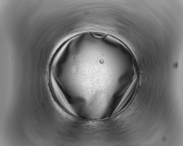 X0000098221531200805081146