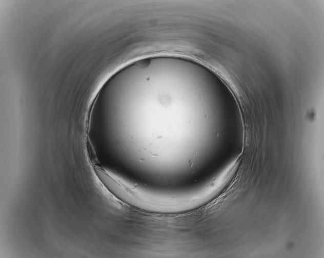 X0000098221532200805081146