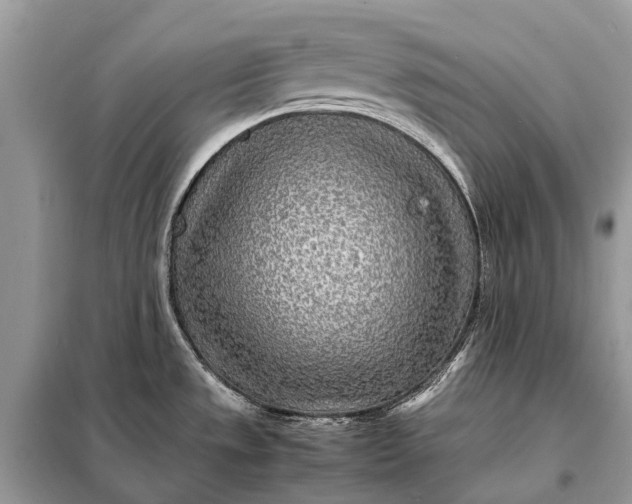 X0000098221533200805081146