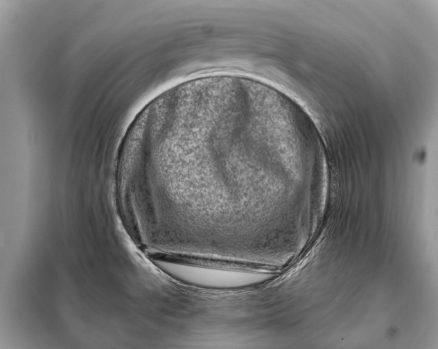 X0000098221534200805081146