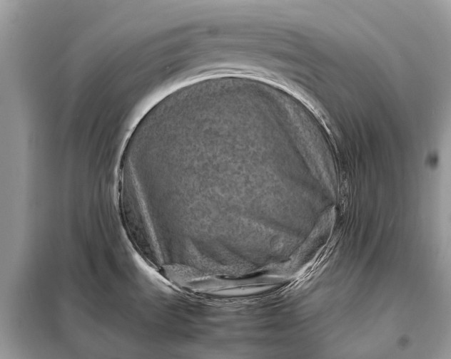 X0000098221535200805081146