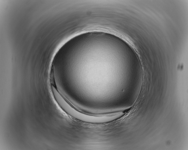 X0000098221536200805081146