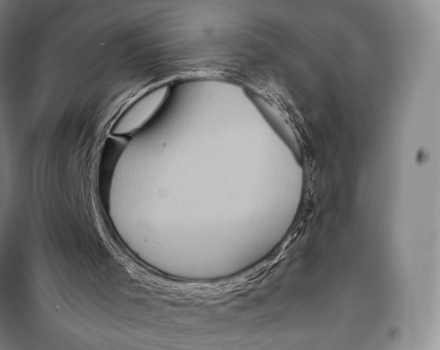 X0000098220001200805151328