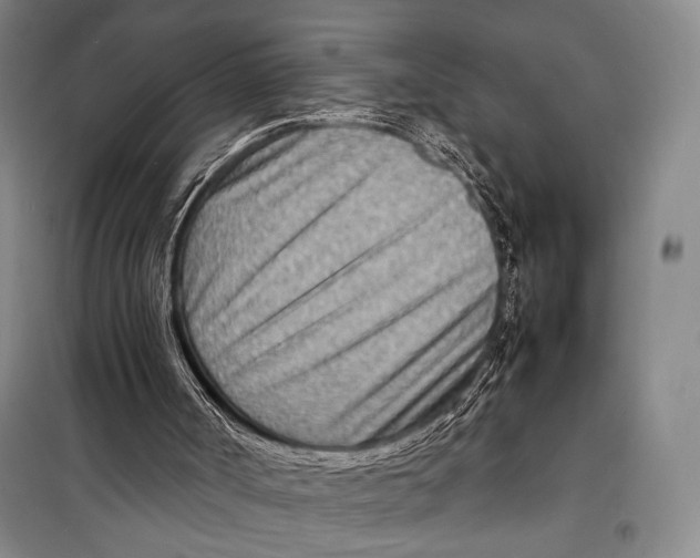 X0000098220002200805151328