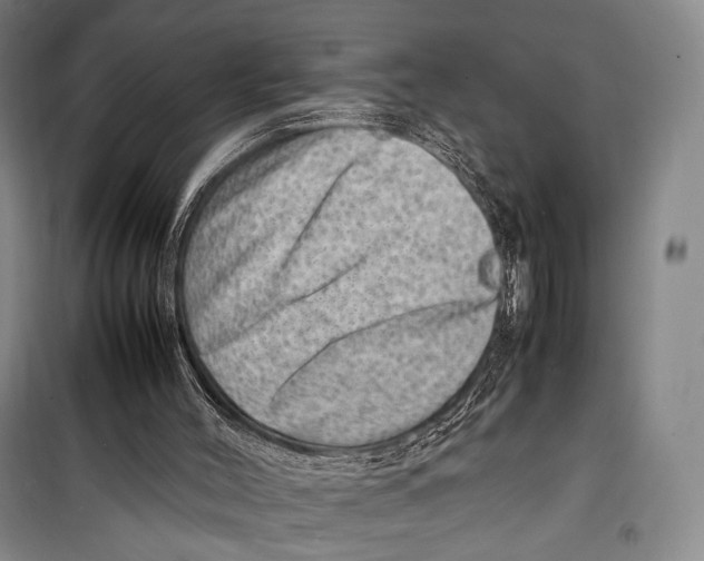 X0000098220004200805151328