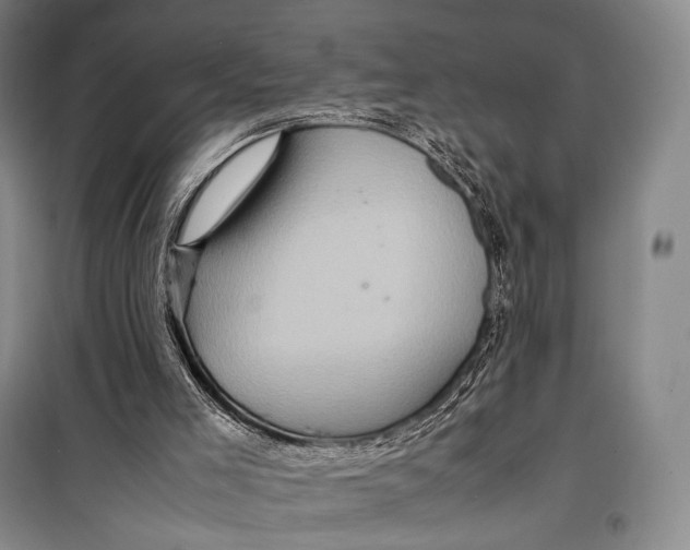 X0000098220005200805151328