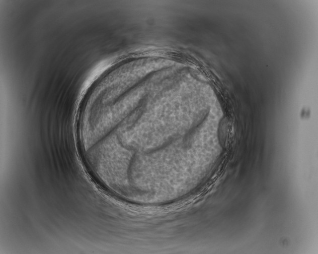 X0000098220006200805151328