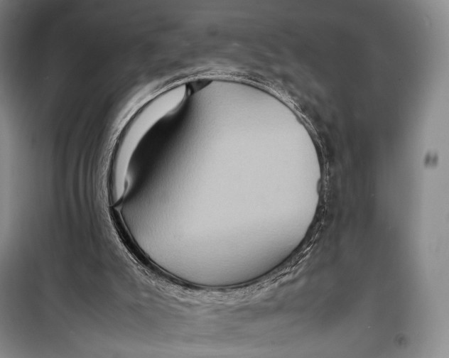 X0000098220007200805151328