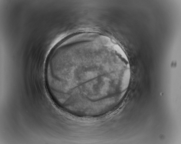 X0000098220008200805151328