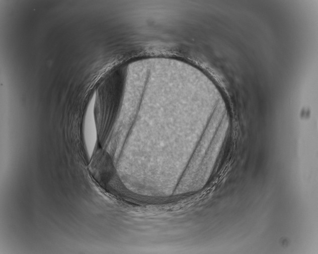 X0000098220009200805151328