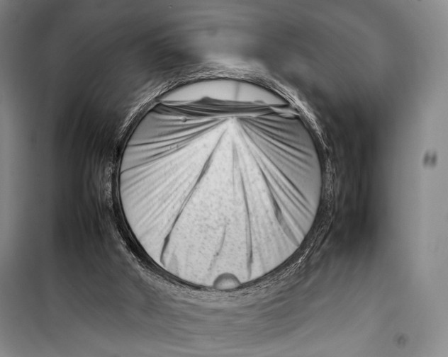 X0000098220010200805151328