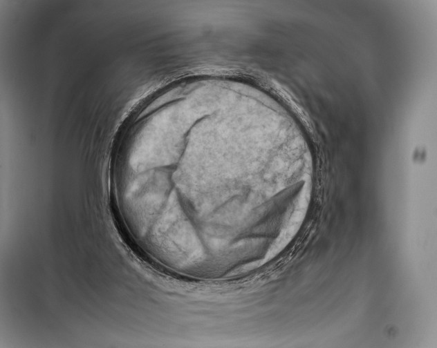 X0000098220011200805151328