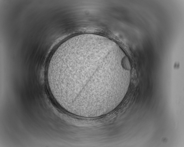 X0000098220012200805151328