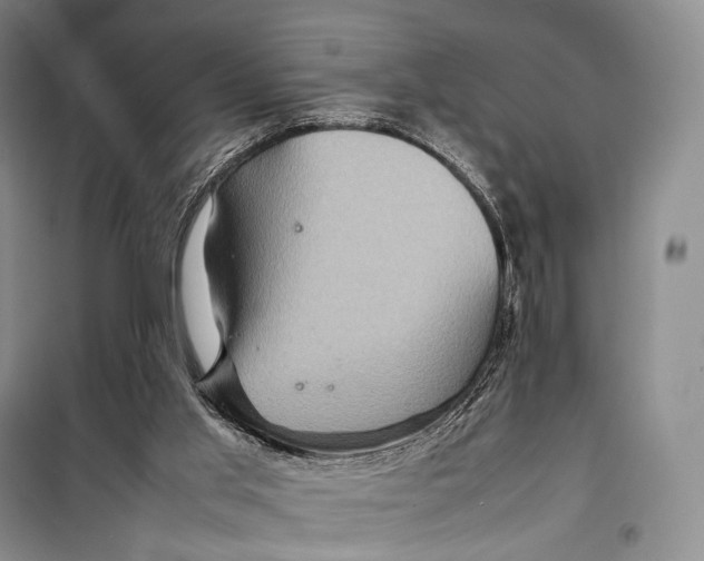 X0000098220013200805151328