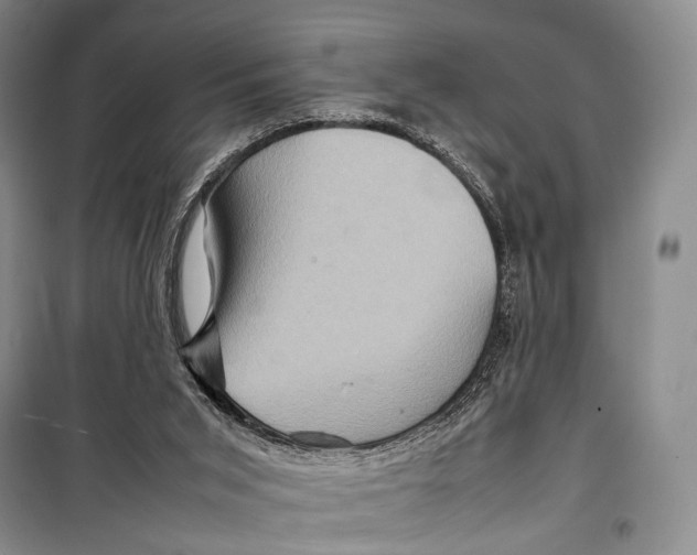 X0000098220015200805151328