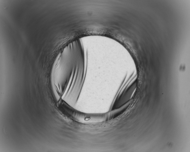 X0000098220017200805151328