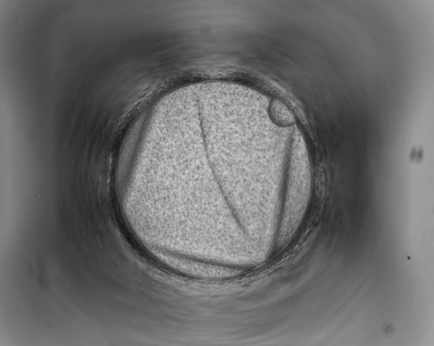 X0000098220018200805151328