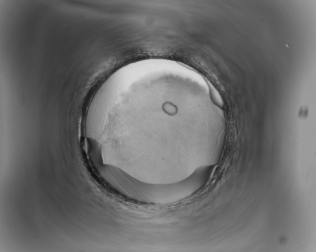 X0000098220019200805151328