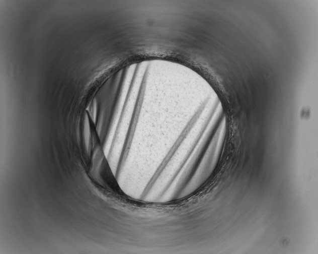 X0000098220020200805151328