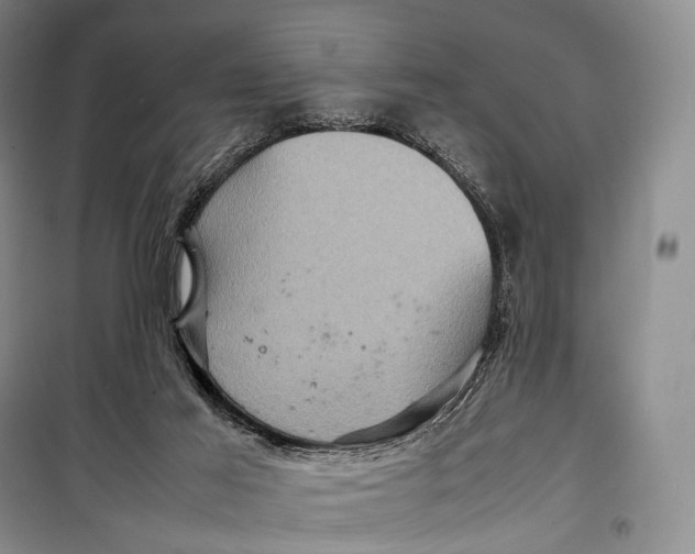 X0000098220021200805151328