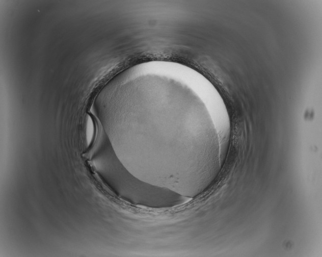 X0000098220023200805151328