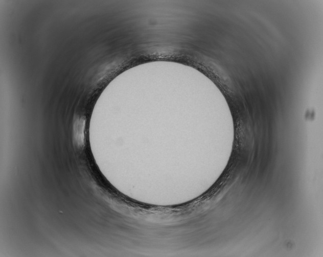 X0000098220024200805151328