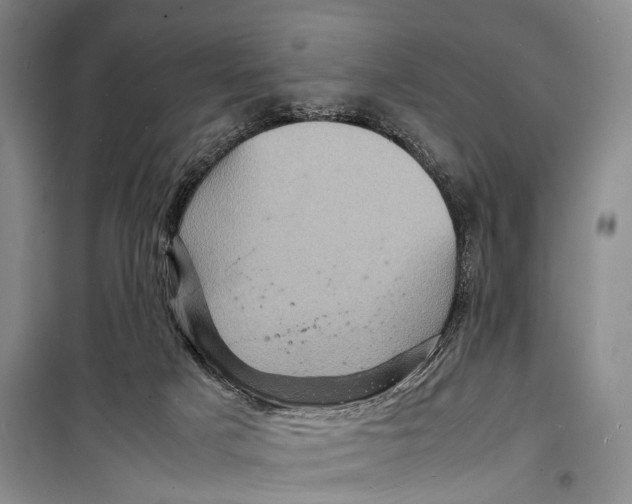 X0000098220025200805151328