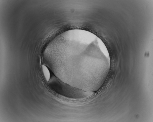 X0000098220027200805151327