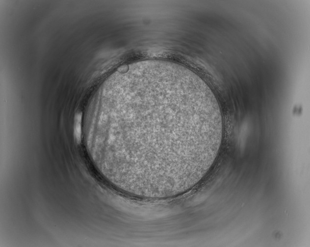 X0000098220028200805151327