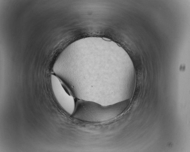 X0000098220029200805151327