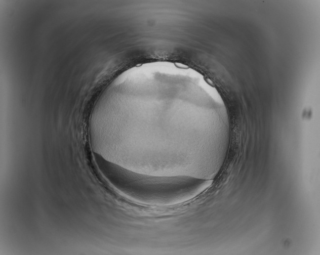 X0000098220031200805151327