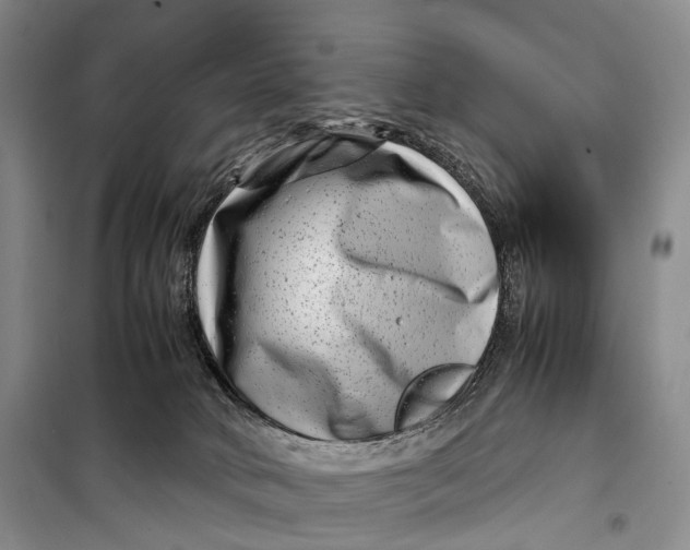 X0000098220034200805151327