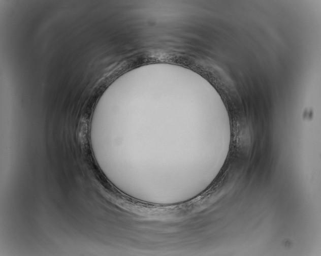 X0000098220036200805151327