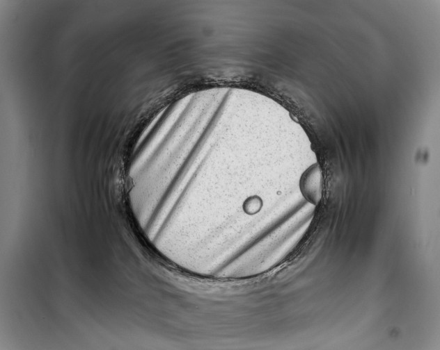 X0000098220040200805151327