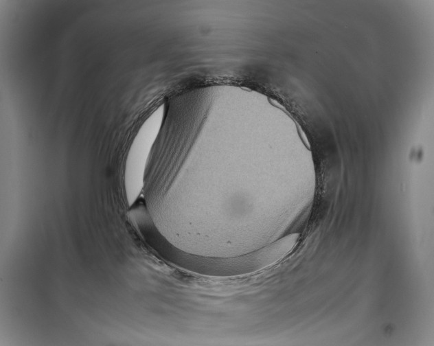 X0000098220041200805151327