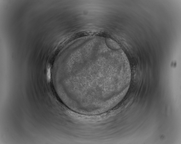 X0000098220042200805151327