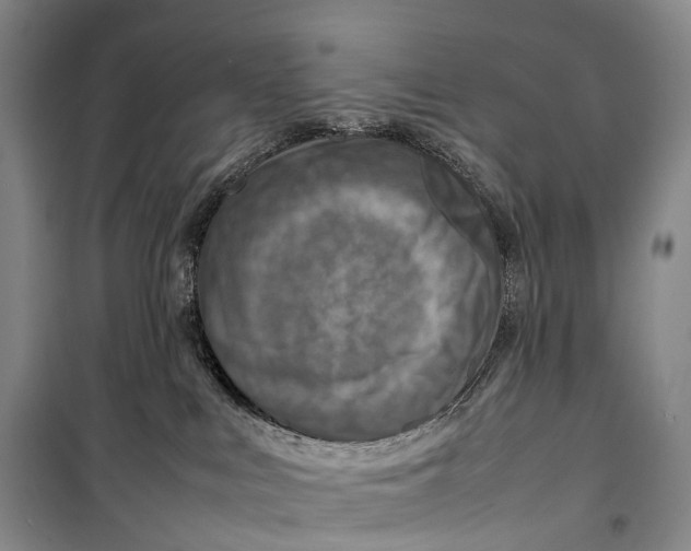 X0000098220043200805151327