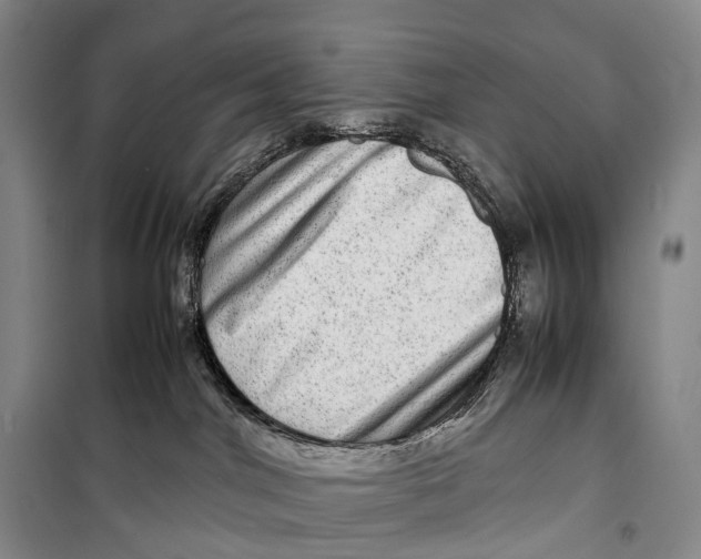 X0000098220044200805151327