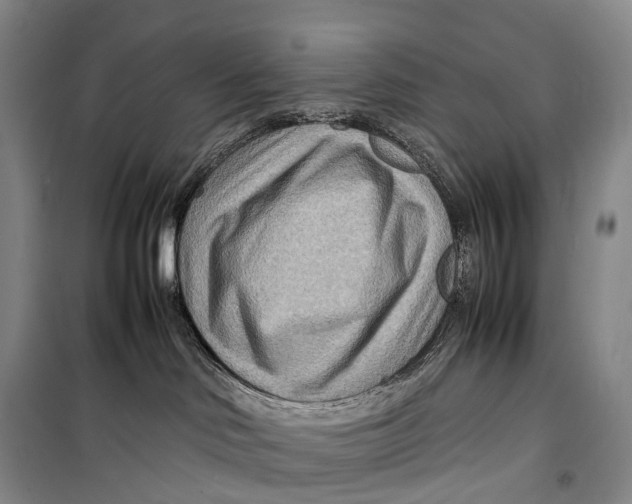 X0000098220046200805151327