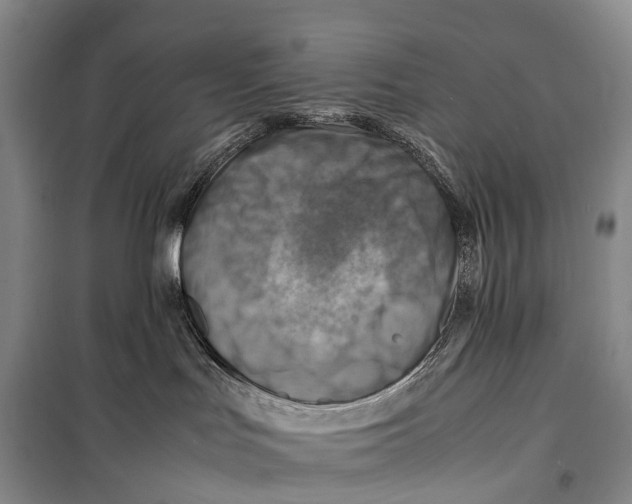 X0000098220047200805151327