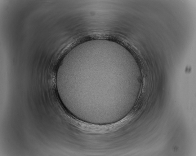 X0000098220048200805151327