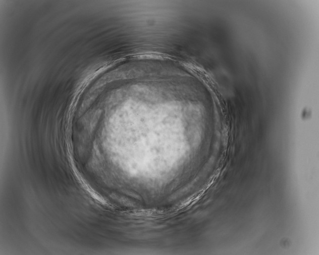 X0000098220049200805151327