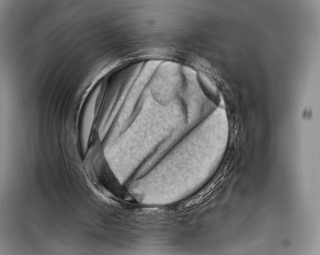 X0000098220050200805151327